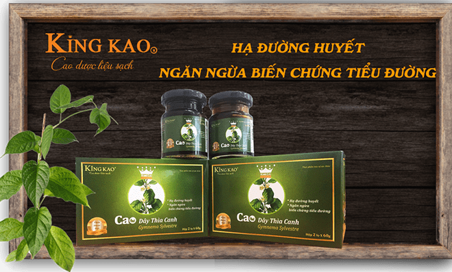 Cao dây thìa canh KING KAO – Bí quyết vàng ngăn ngừa BIẾN CHỨNG TIỂU ĐƯỜNG