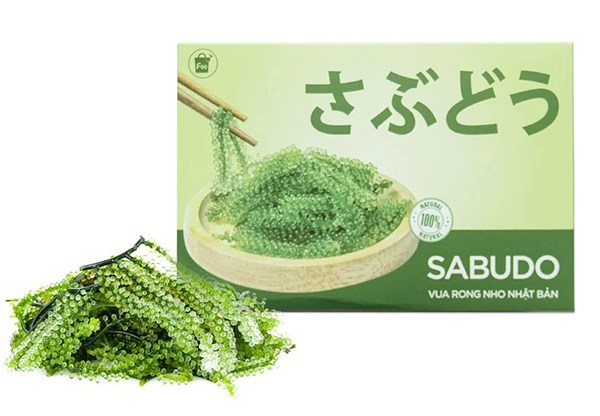 Rong nho biển tách nước SABUDO – Vua rong nho Nhật Bản